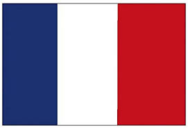 Pavillon. 30x45 Etamine France (1)