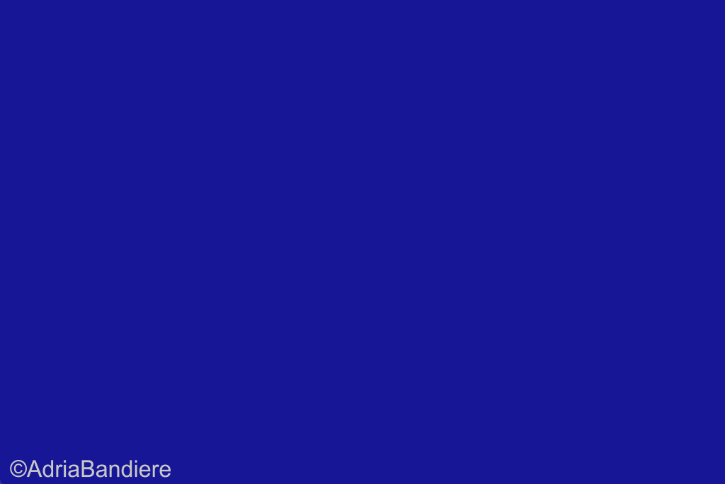 Pavillon. 60x73 Etamine Bleu Régate