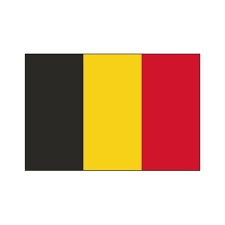 Pavillon. 50x75 Etamine Belgique (1)