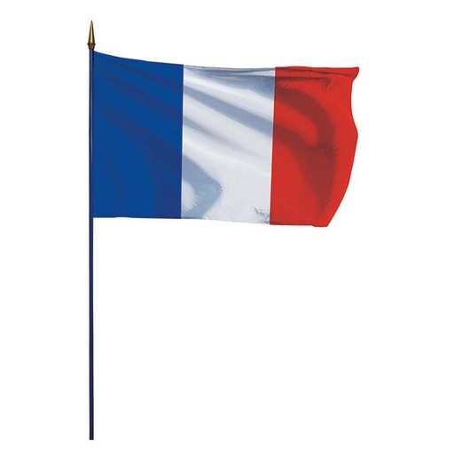 Drapeau. 100x150 France hampe bleue