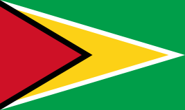 [A00202] Pavillon. 100x150 Etamine Guyana