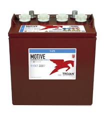 [A02286] Batt. Trojan Deep Cycle T875  8V-170Ah