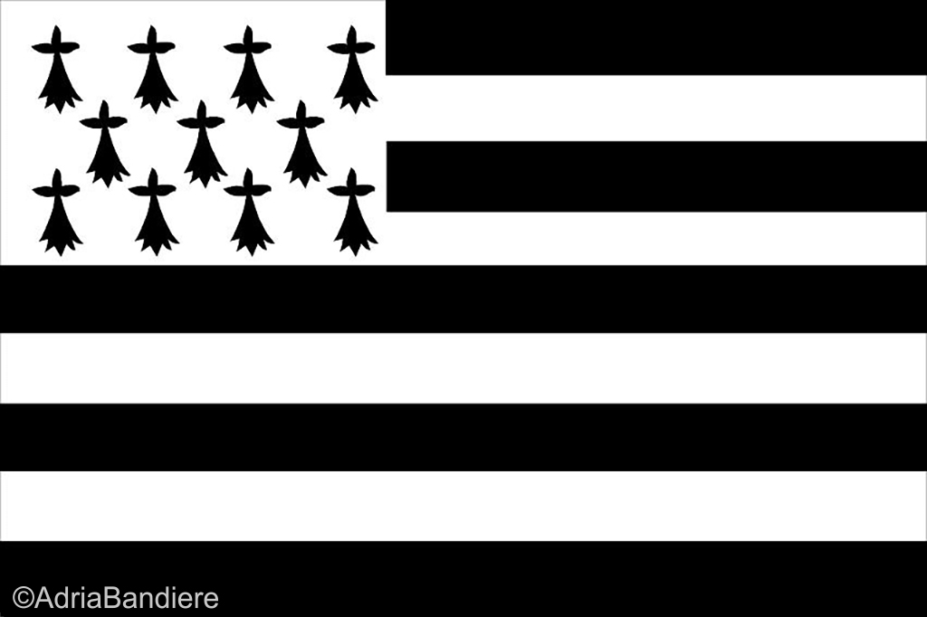 [A02324] Pavillon. 100x150 Etamine Bretagne (Gwenn ah du)