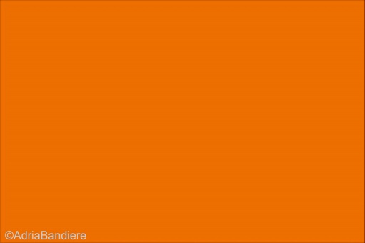 Pavillon. 60x73 Etamine Orange Regate