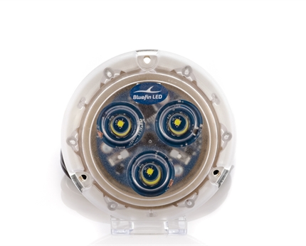 LED piranha P3 bleu 12v