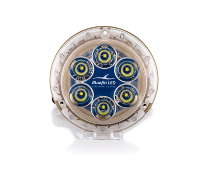 LED piranha P6 bleu 12v